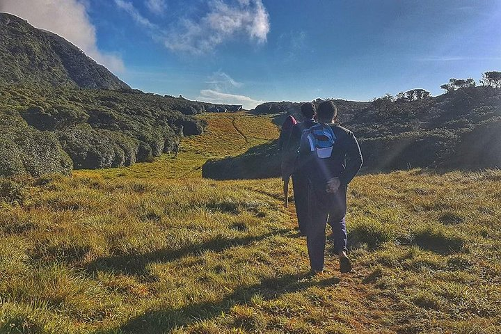 Chariot Path Hiking - Photo 1 of 2